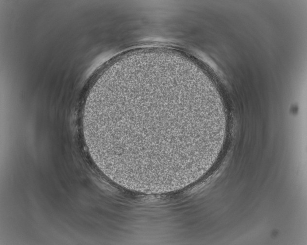 X0000116781259201001281114