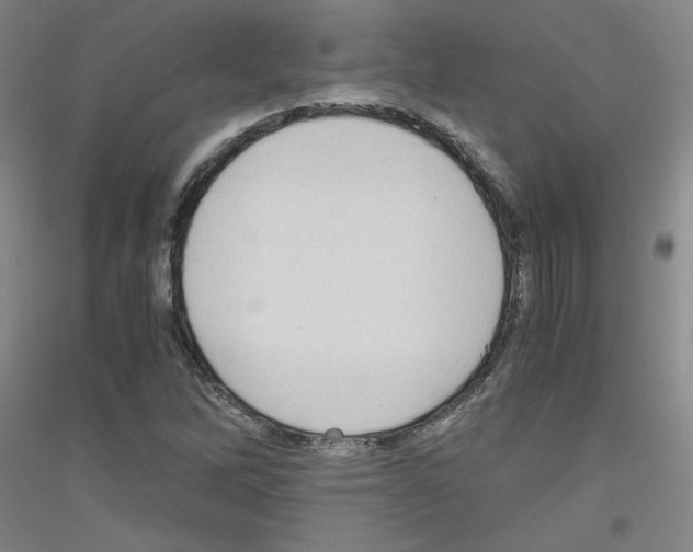 X0000116781262201001281114