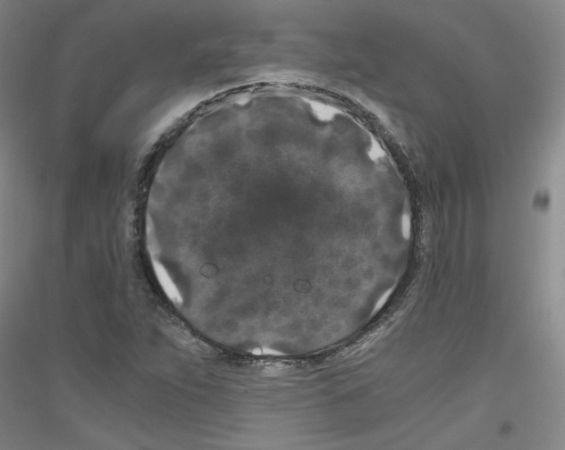 X0000116781263201001281114