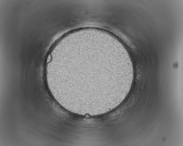 X0000116781264201001281114