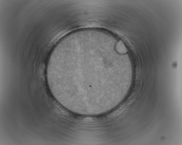 X0000116781265201001281114