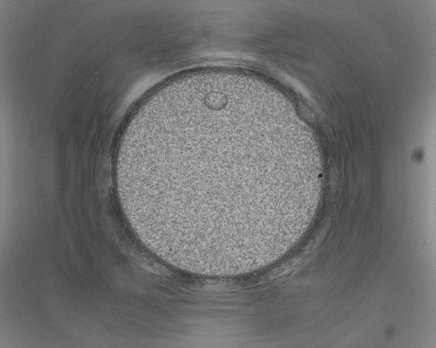 X0000116781267201001281114