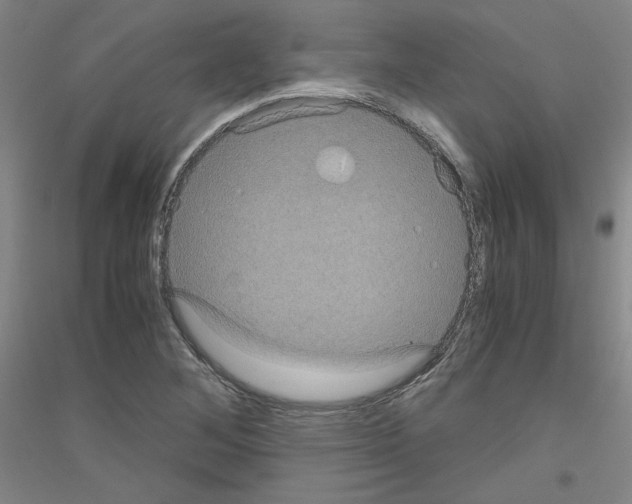 X0000116781268201001281114