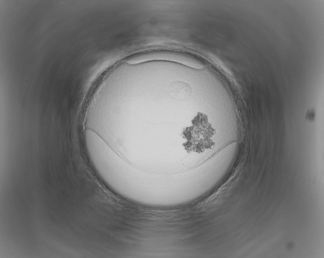 X0000116781269201001281114