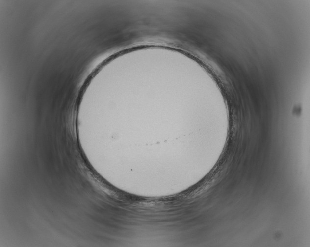 X0000116781272201001281114