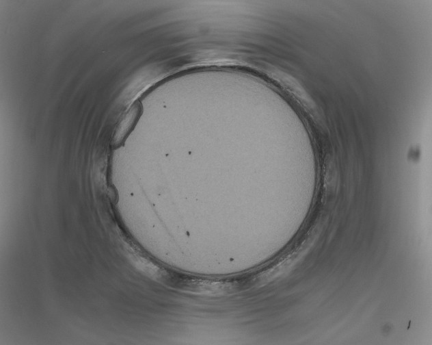 X0000116781273201001281114