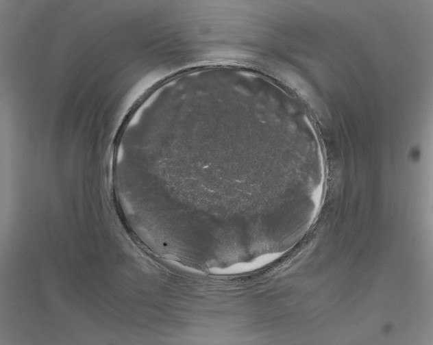 X0000116781275201001281114