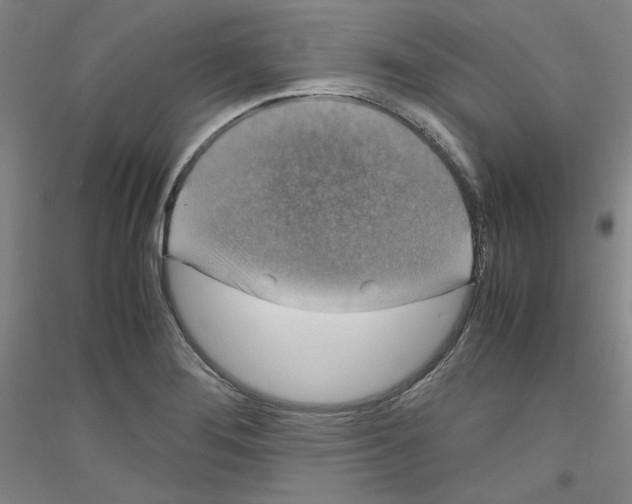 X0000116781276201001281114