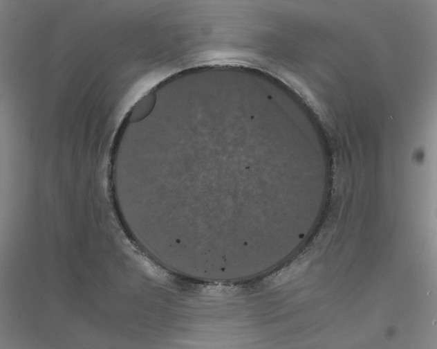 X0000116781277201001281114