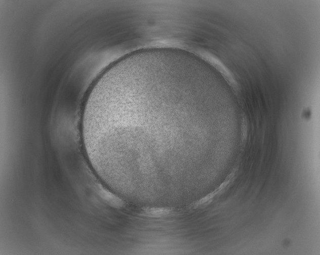 X0000116781278201001281114