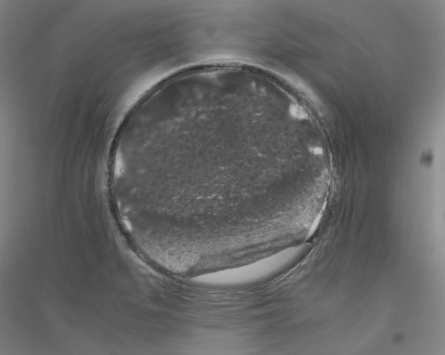 X0000116781279201001281114