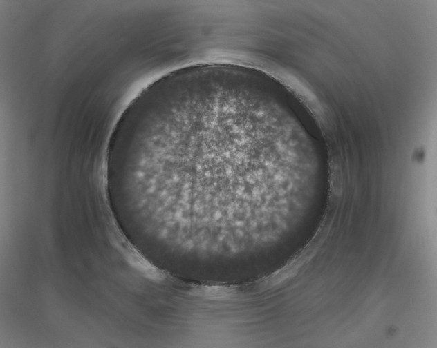 X0000116781280201001281114