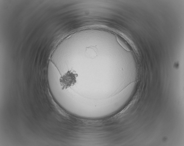 X0000116781281201001281114