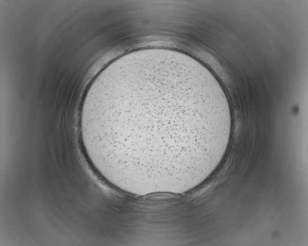 X0000116781282201001281114