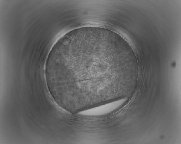 X0000116781283201001281114