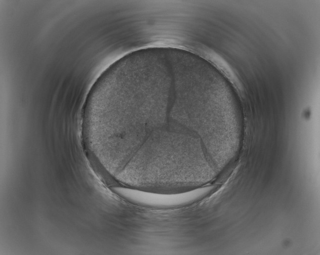 X0000116781284201001281114