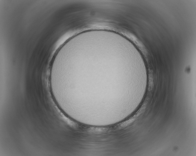 X0000116781286201001281114