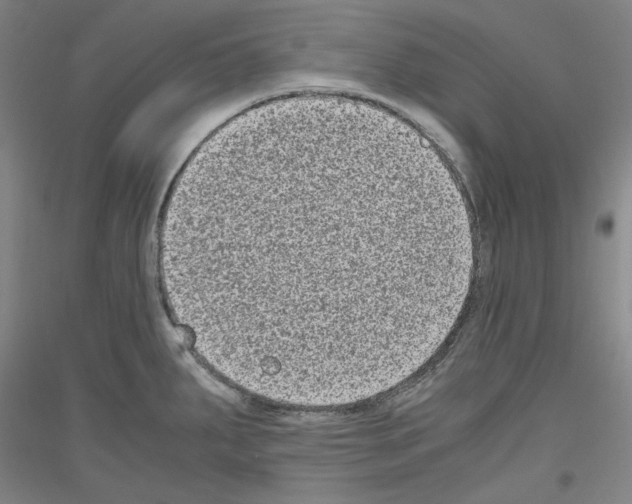 X0000116781287201001281114