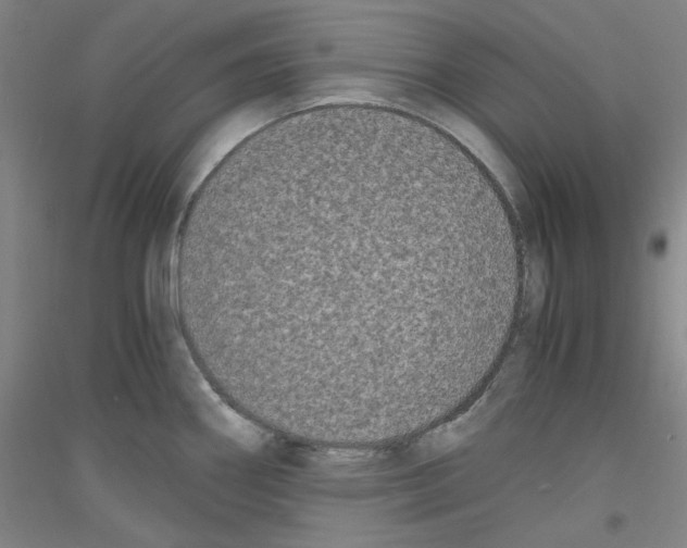 X0000116781290201001281114