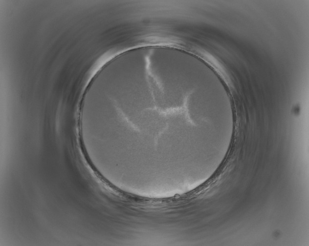 X0000116781291201001281114