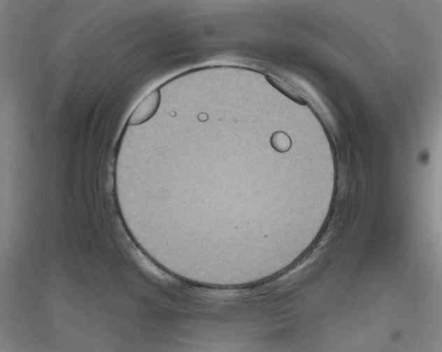 X0000116781292201001281114