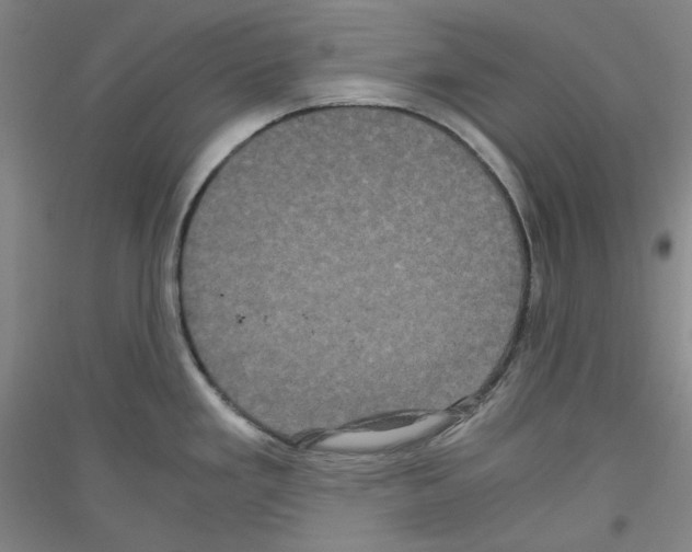 X0000116781293201001281114