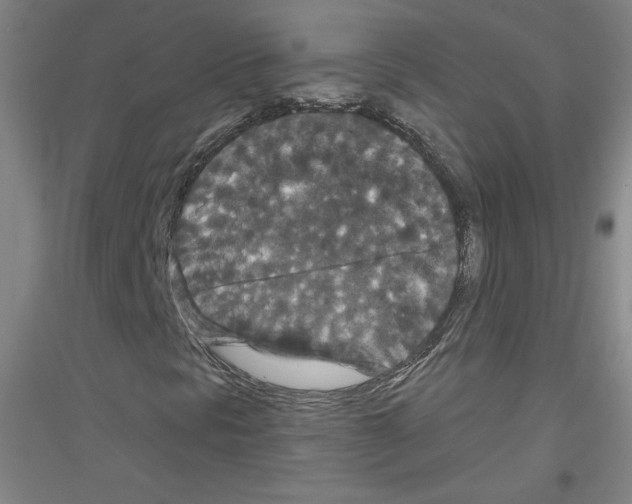 X0000116781297201001281113