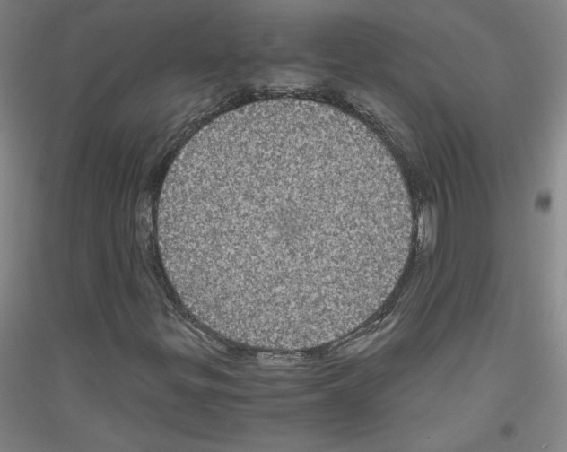 X0000116781299201001281113