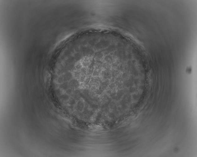 X0000116781302201001281113