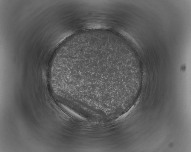 X0000116781305201001281113