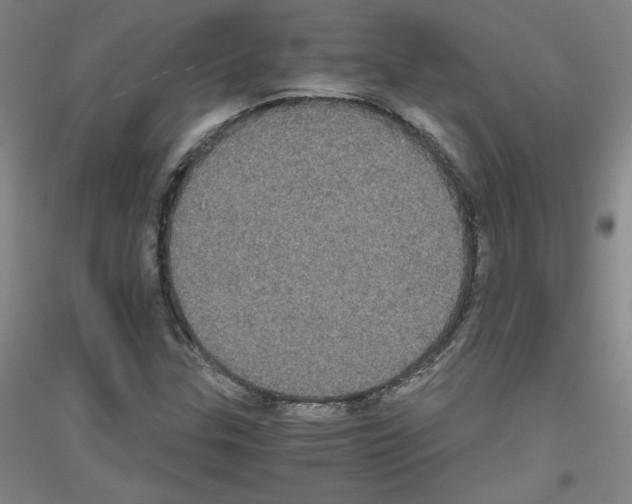 X0000116781307201001281113