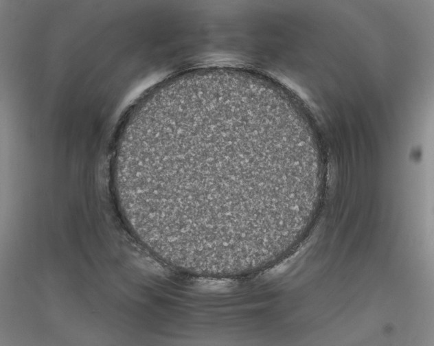 X0000116781309201001281113