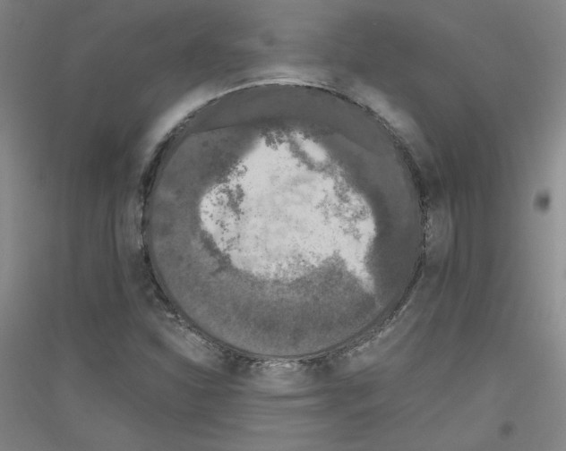 X0000116781310201001281113