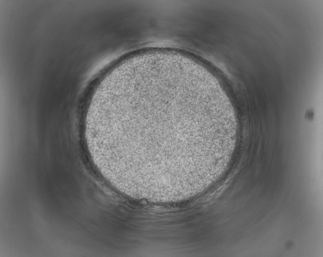 X0000116781311201001281113