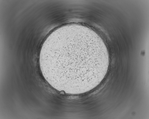 X0000116781313201001281113