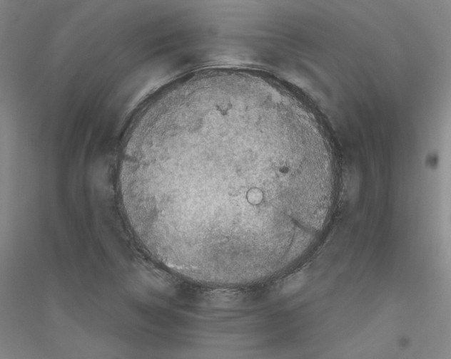 X0000116781314201001281113