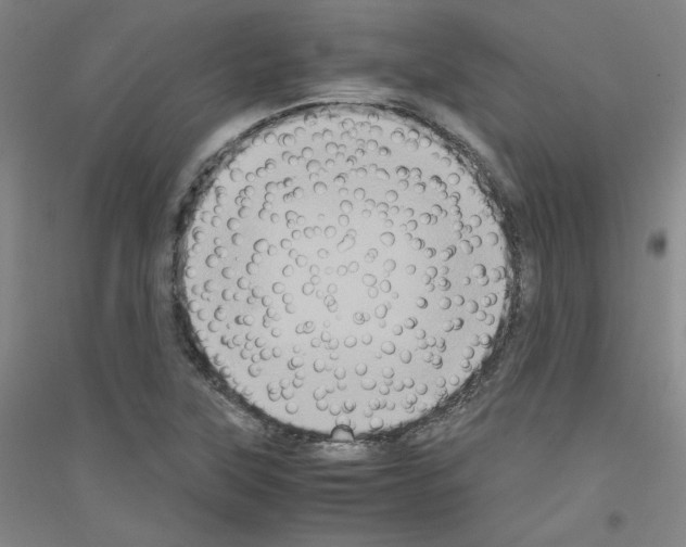 X0000116781315201001281113