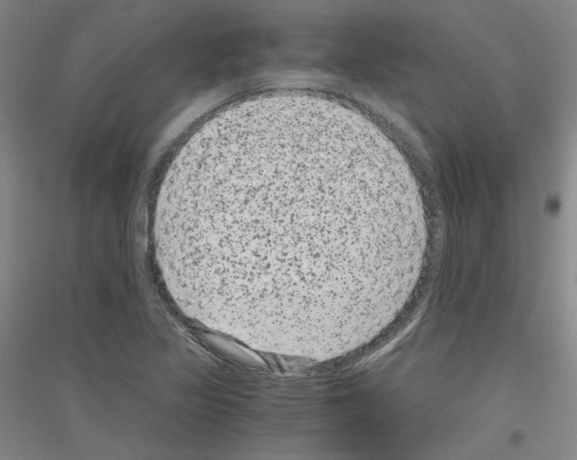 X0000116781317201001281113