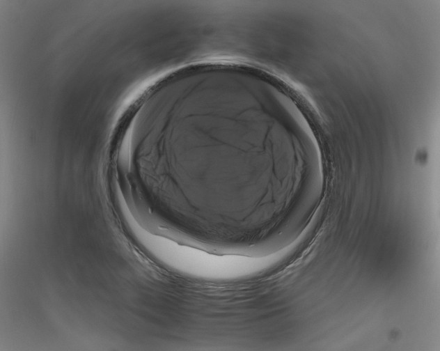 X0000116781319201001281113