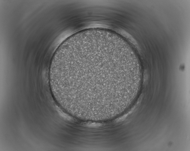 X0000116781321201001281113