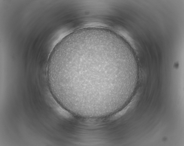 X0000116781322201001281113