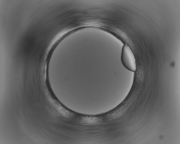 X0000116781323201001281113