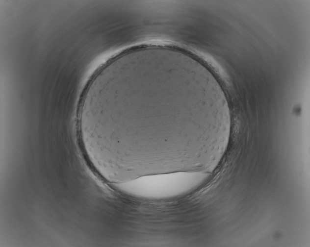 X0000116781327201001281113