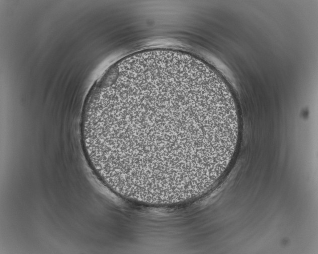 X0000116781330201001281113