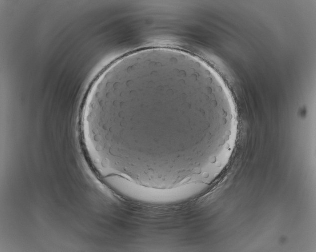 X0000116781331201001281113