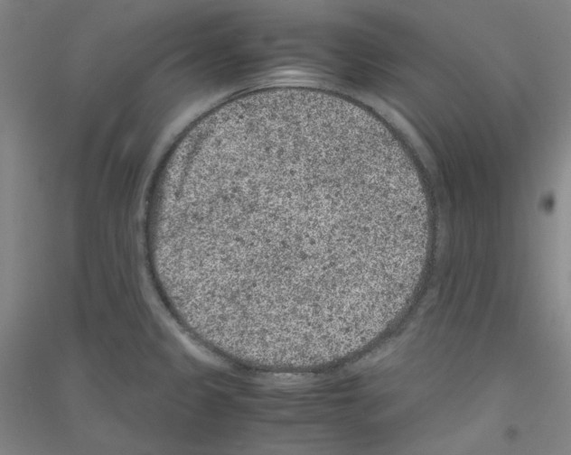 X0000116781333201001281113