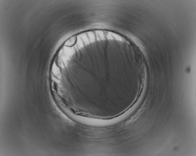 X0000116781334201001281113