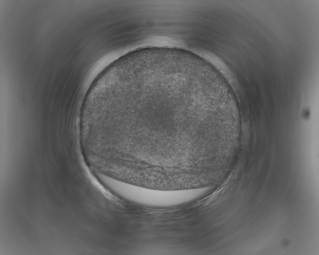 X0000116781335201001281113