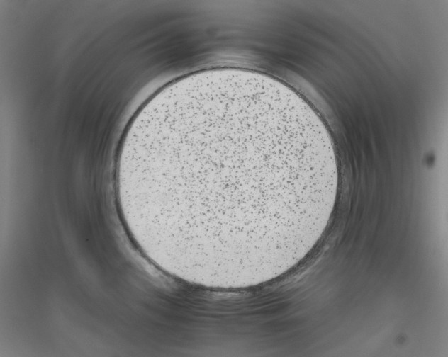 X0000116781339201001281113