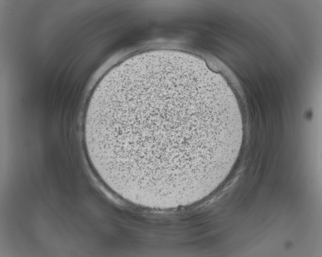 X0000116781341201001281113